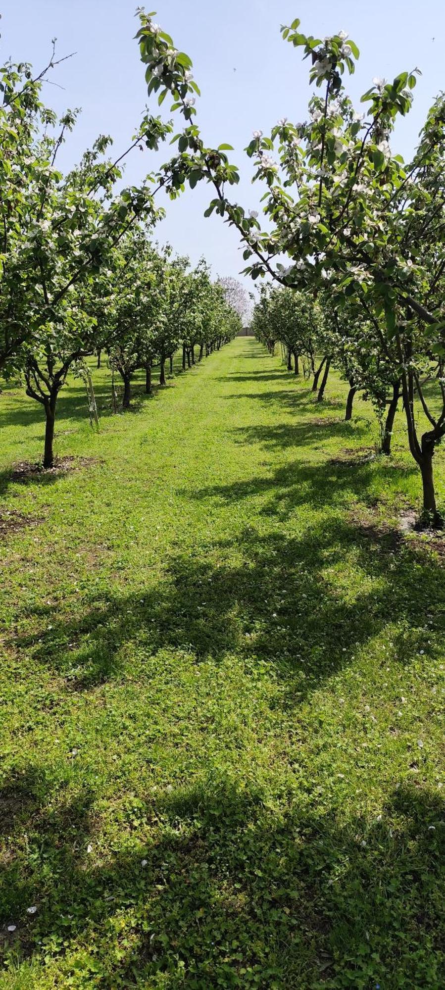 Salas Farma 47-Miris Dunja Cenej Exterior photo