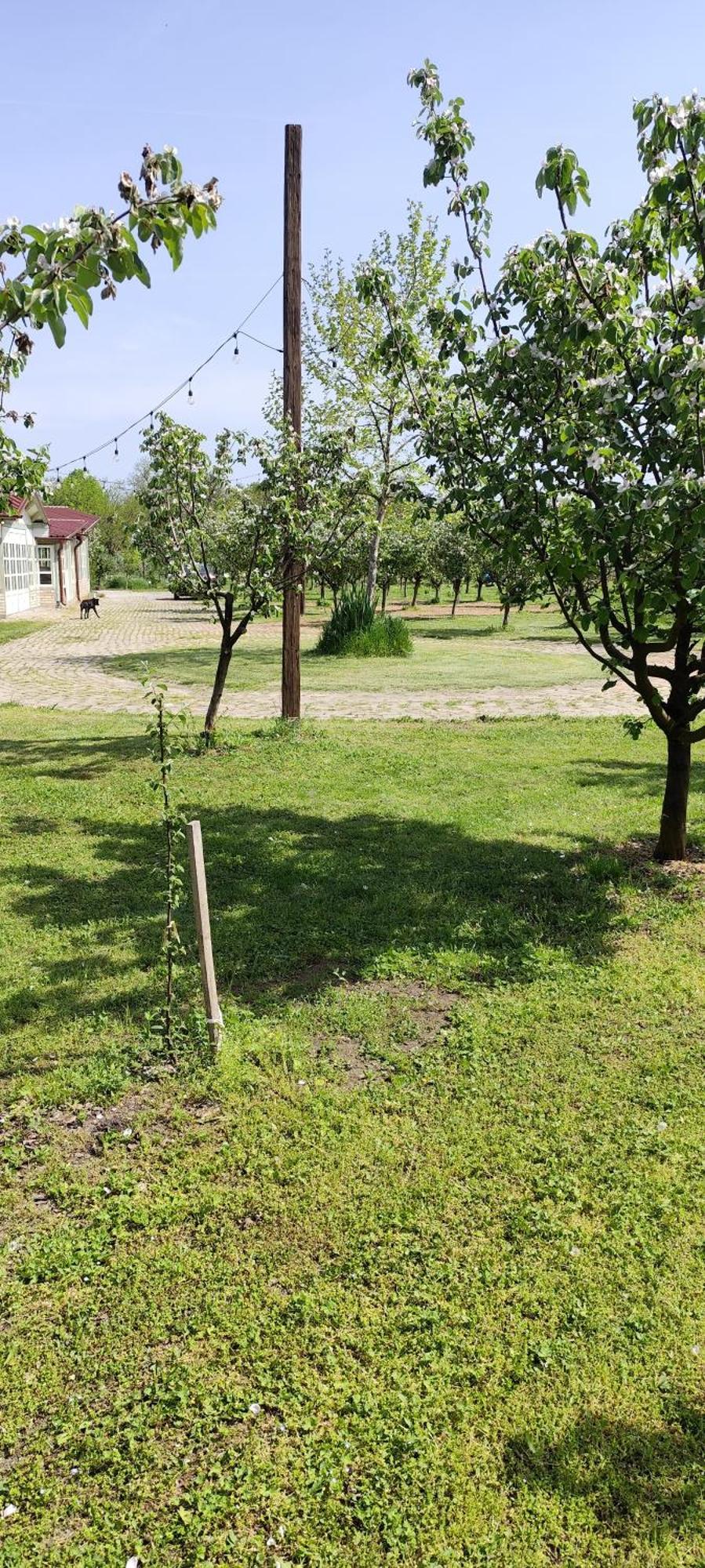 Salas Farma 47-Miris Dunja Cenej Exterior photo