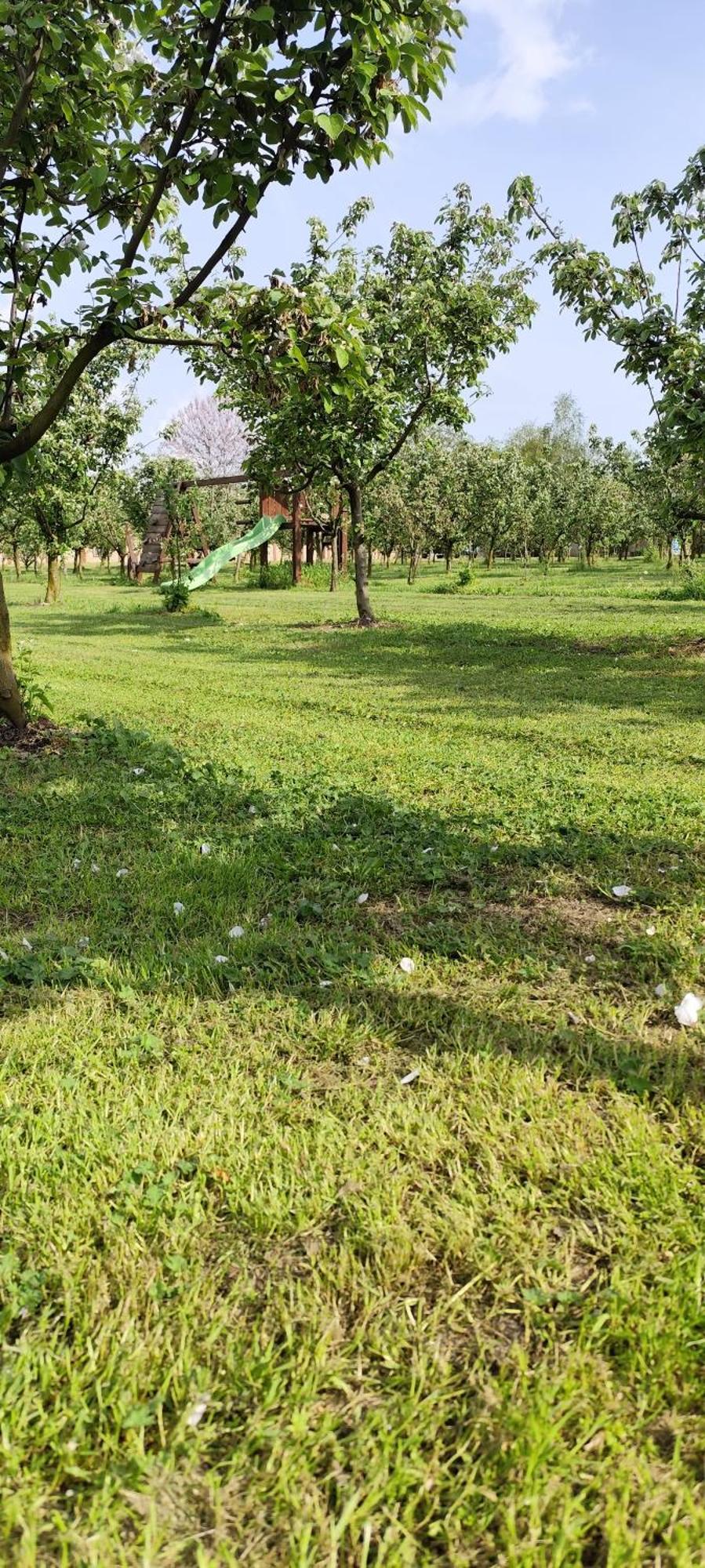 Salas Farma 47-Miris Dunja Cenej Exterior photo