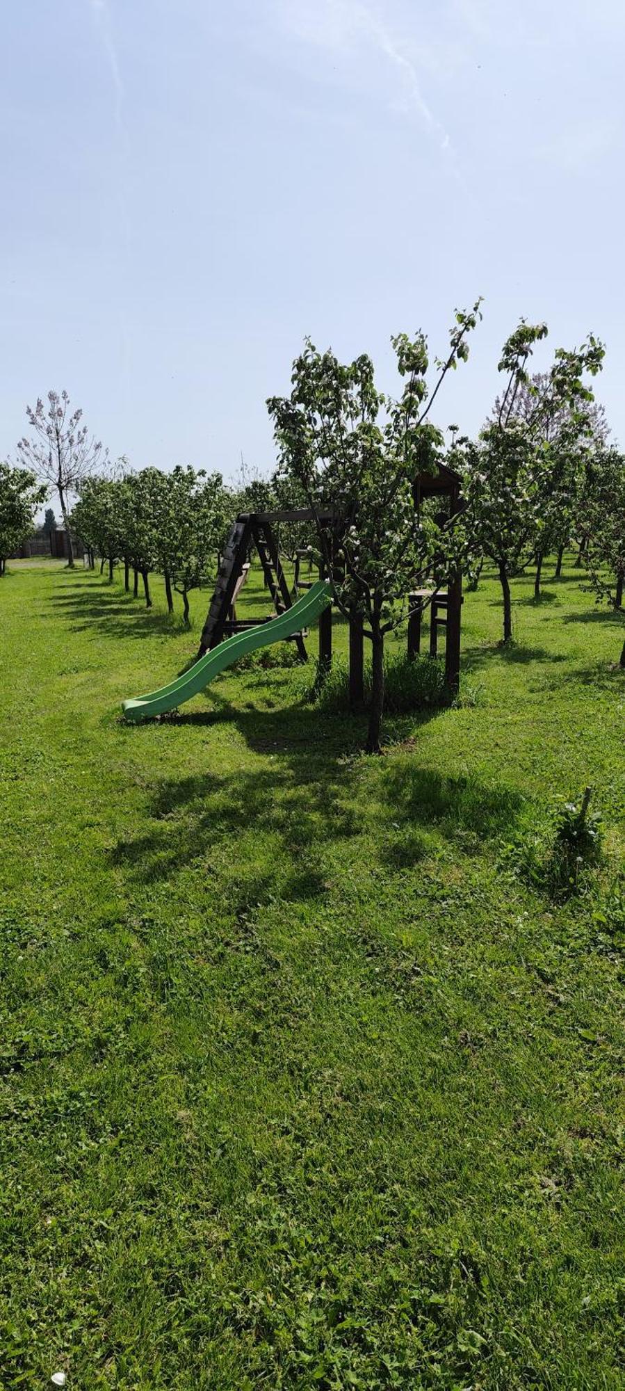 Salas Farma 47-Miris Dunja Cenej Exterior photo