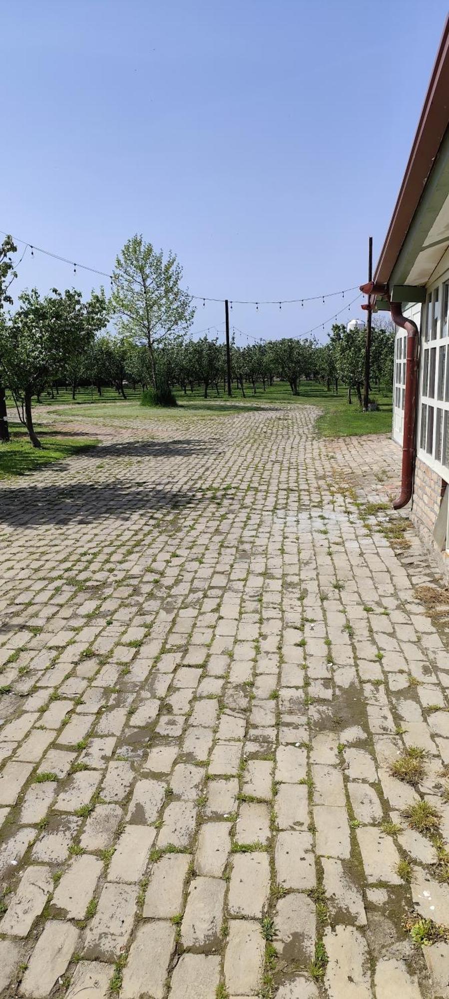 Salas Farma 47-Miris Dunja Cenej Exterior photo
