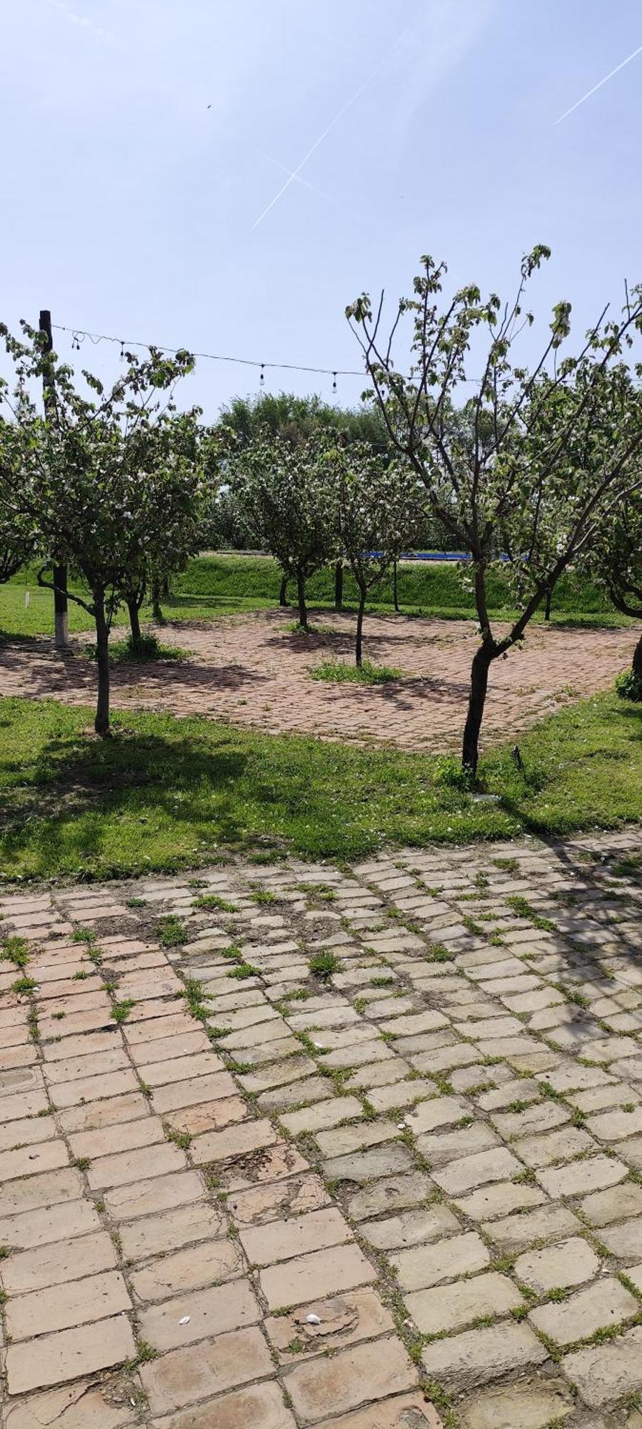 Salas Farma 47-Miris Dunja Cenej Exterior photo