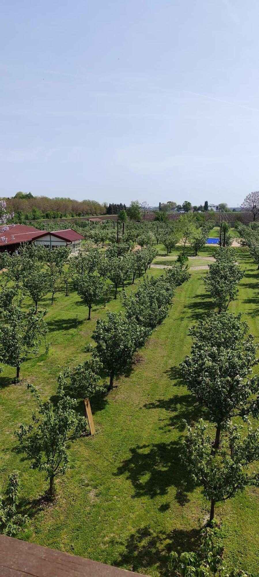 Salas Farma 47-Miris Dunja Cenej Exterior photo