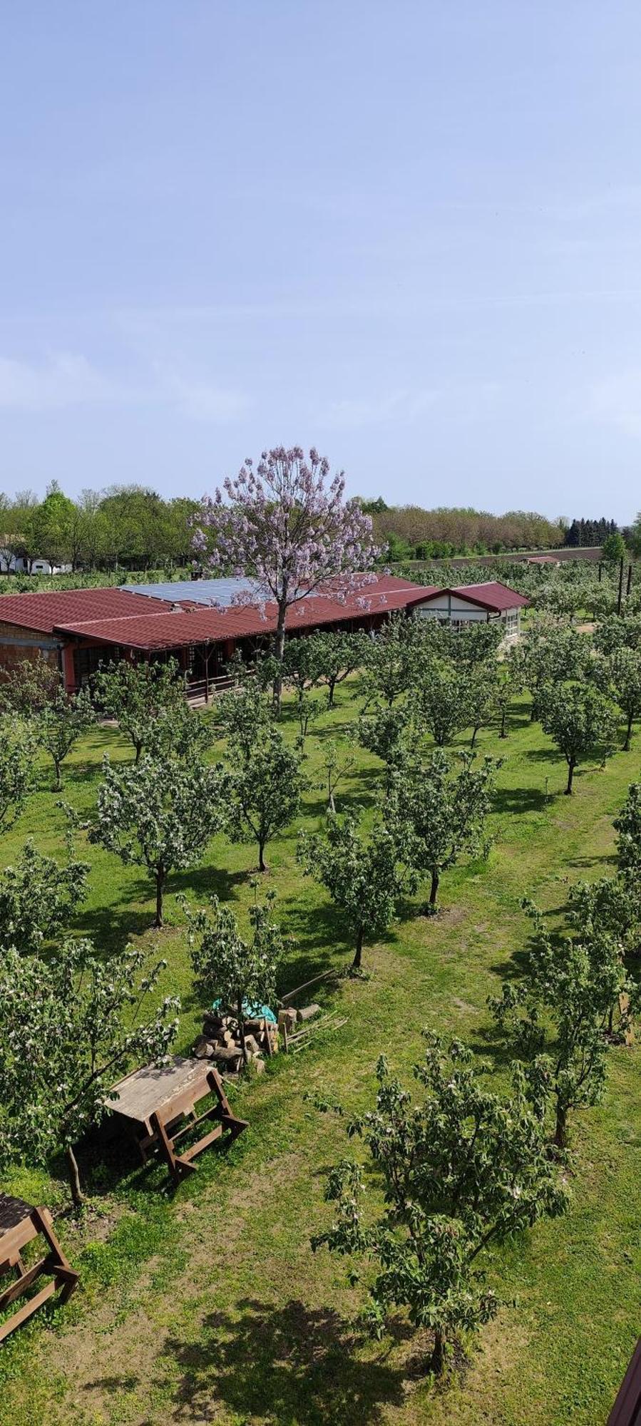 Salas Farma 47-Miris Dunja Cenej Exterior photo