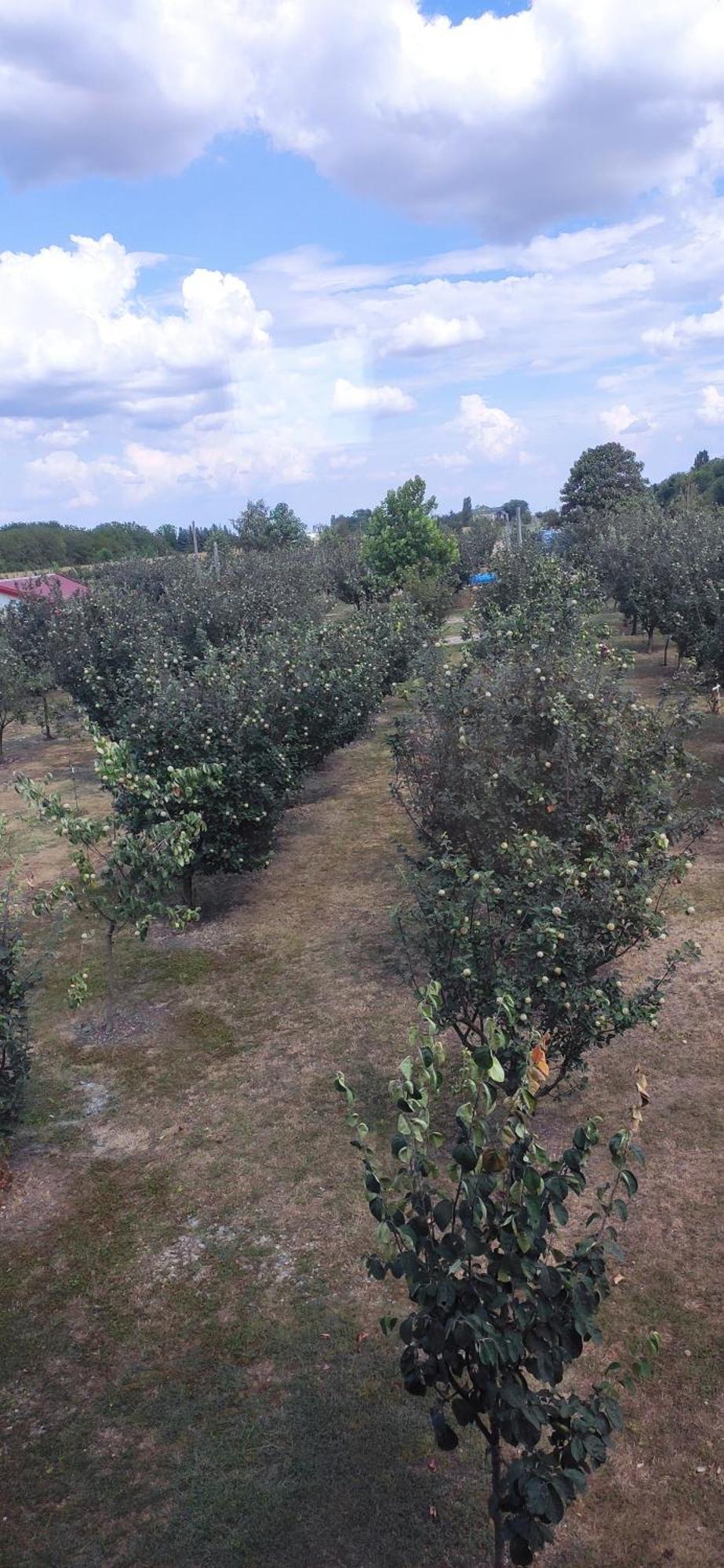 Salas Farma 47-Miris Dunja Cenej Exterior photo