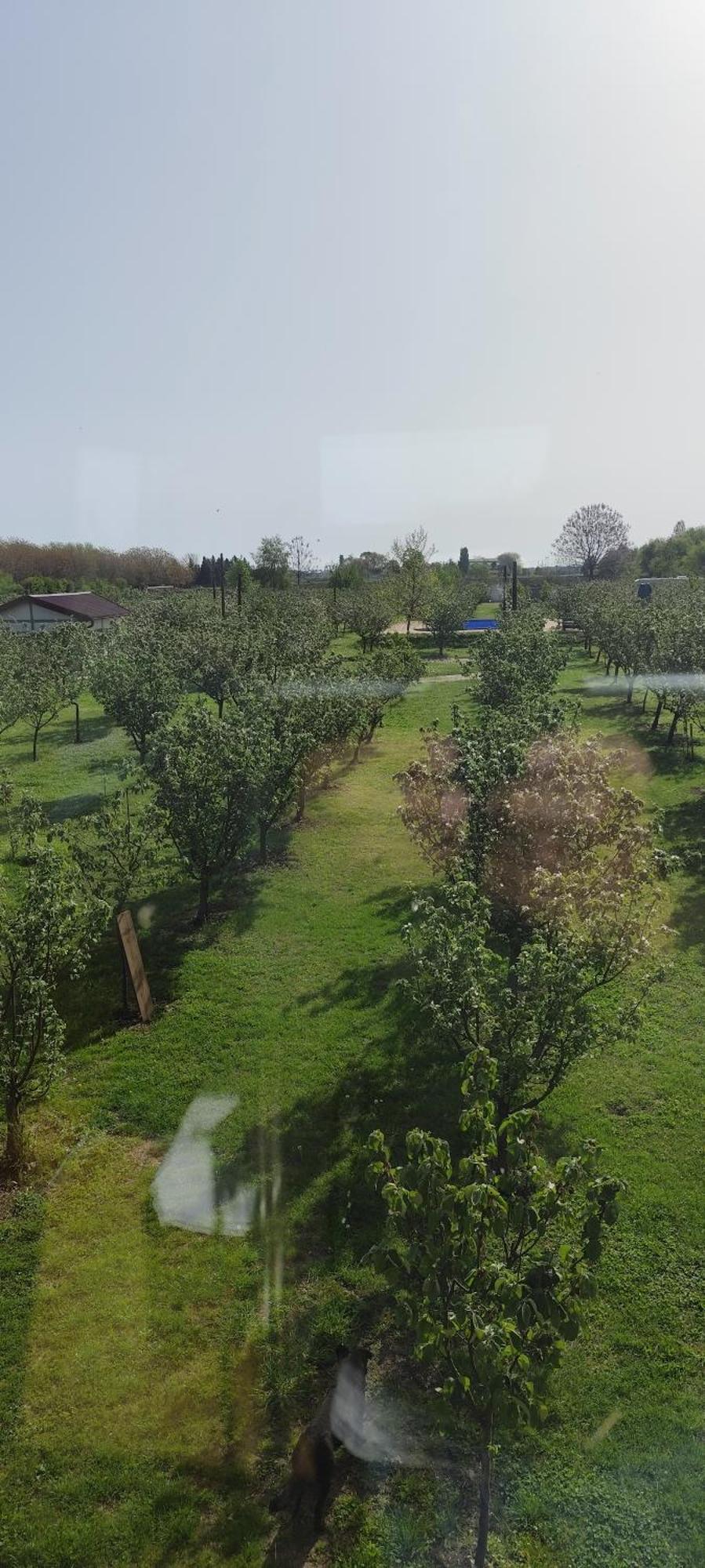 Salas Farma 47-Miris Dunja Cenej Exterior photo