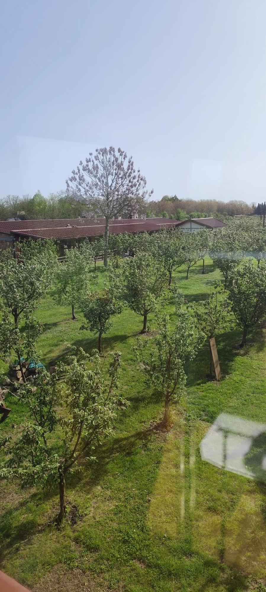 Salas Farma 47-Miris Dunja Cenej Exterior photo