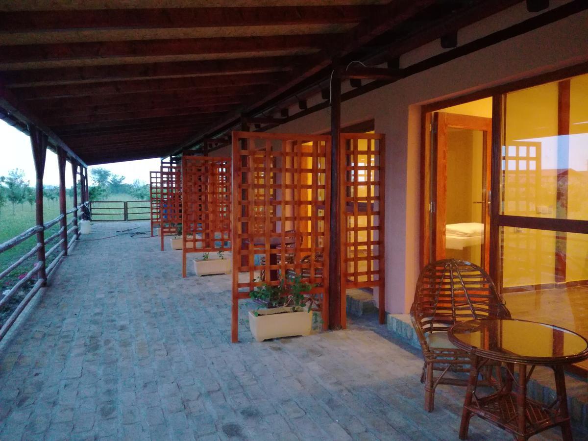 Salas Farma 47-Miris Dunja Cenej Exterior photo